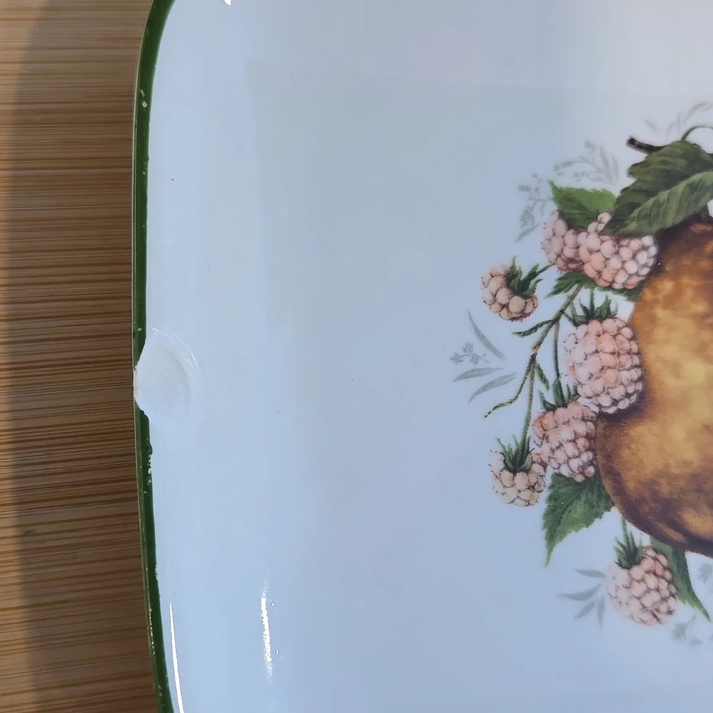 Arzberg Small Fruit Design‎ Rectangular Plates